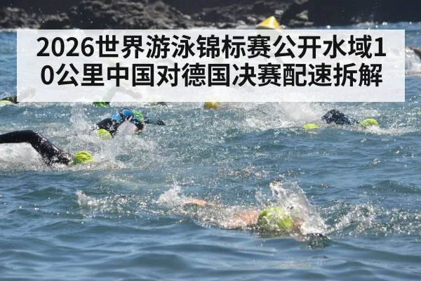 open water swimmers competition